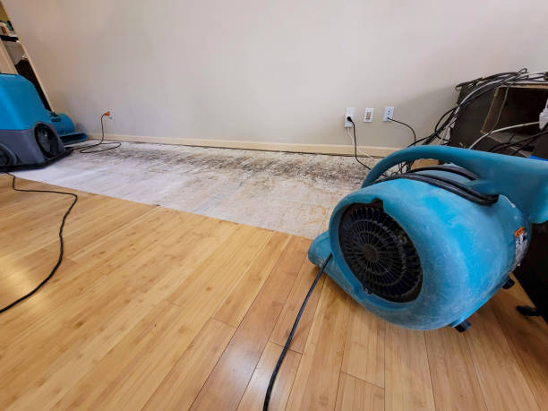 Professional Basement Flood Cleanup technician working in Mica, WA
